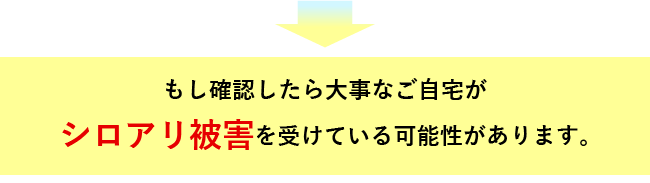 シロアリ被害を受けている可能性があります