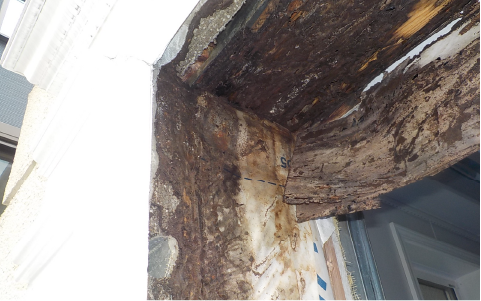 天井裏などの高所も侵食