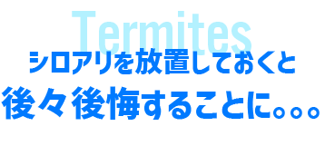 シロアリを放置しておくと後々後悔することに