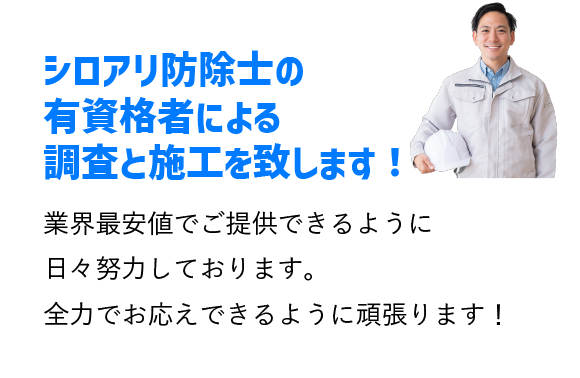 シロアリ防除士の有資格者による調査と施工を致します!