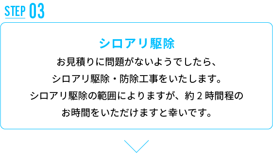 シロアリ駆除